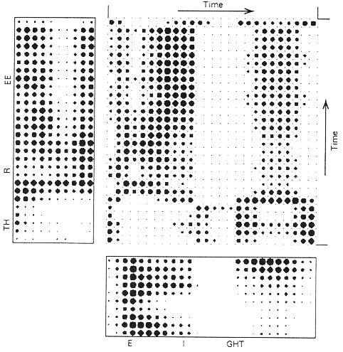 Porównywanie spektrogramów 26 [źródło: J.