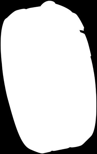 System