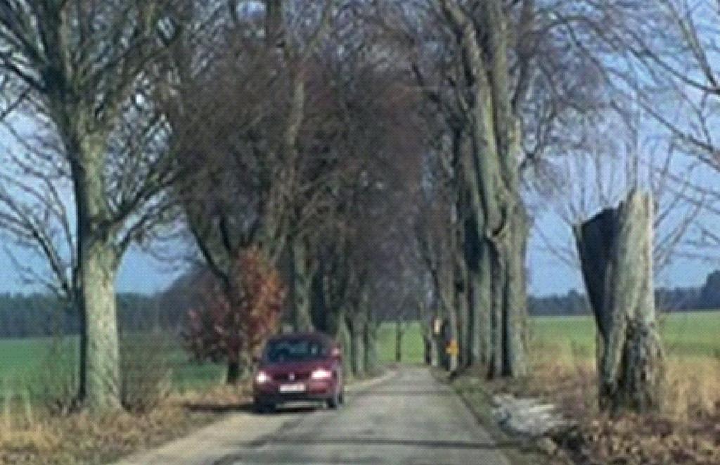 Analiza danych dotyczących lokalizacji wypadków związanych z otoczeniem dróg potwierdziła wskazanie północno-zachodniej części Polski, jako obszaru szczególnie narażonego na występowanie tego typu