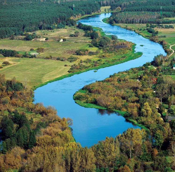 Narew7