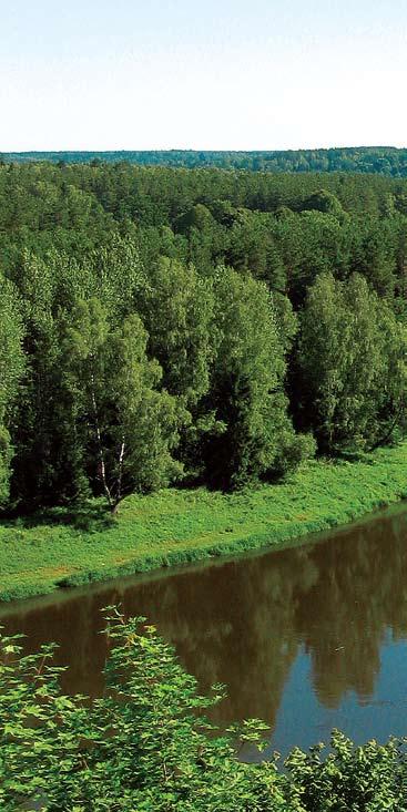 8 Vandens kelias Žalčio kelias. Lietuviai Nemuną vadina upių tėvu.