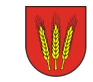 SPRAWOZDANIE PRZEMYSŁAWA GÓRSKIEGO BURMISTRZA MIASTA I GMINY JABŁONOWO POMORSKIE Z REALIZACJI ZADAŃ GMINY W 2016 R.