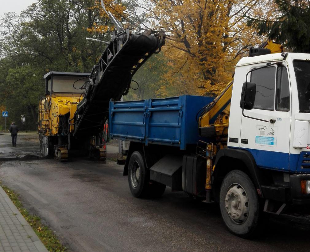 Nasadzenie drzew na terenie Miasta i Gminy