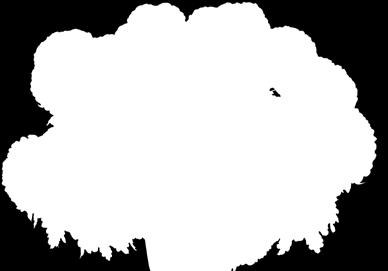 WIELKokwiatowe 11