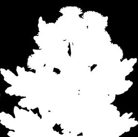 R-6,5