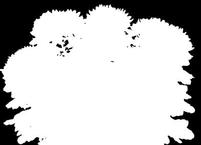 Dore (Boxcanelet) R-10,