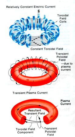 Tokamak