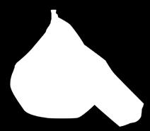 nadziewane