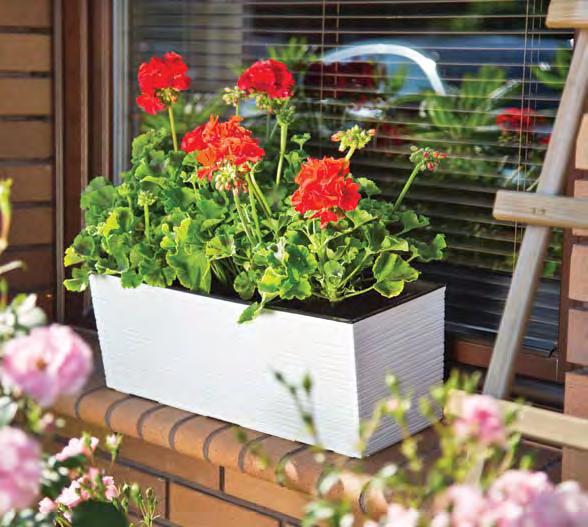 623 04 0 6 74 83 84 04 0 0 6 74 83 84 korpus i wygodny wkład z uchwytami do wyciągania / planter and easy insert with handle dedykowane solidne uchwyty / dedicated strong balcony holders