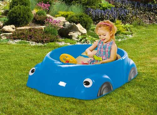 SANDPIT BEETLE