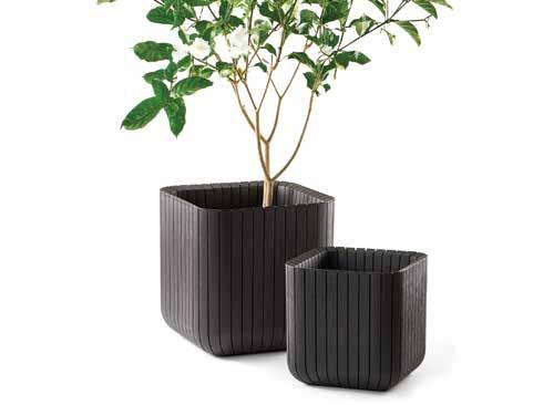 x 39 cm PLANTERS