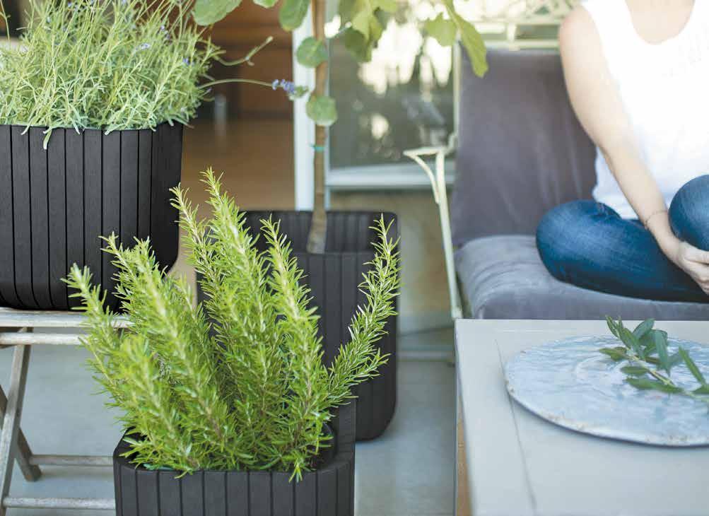 CUBE PLANTER L