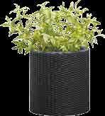 CYLINDER PLANTER