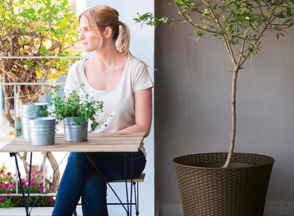 PLANTERS