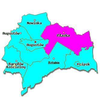 Gmina Płaska położona jest w rejonie przygranicznym północno - wschodniej części kraju w województwie podlaskim, w powiecie