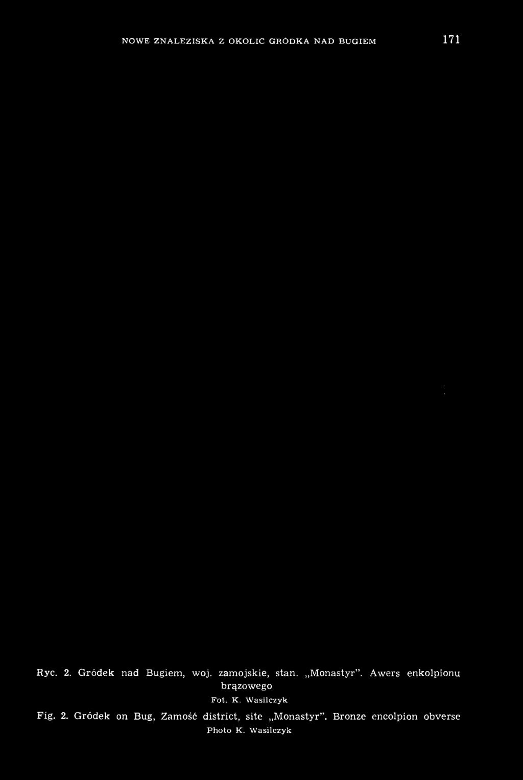 W asilczyk Fig. 2.