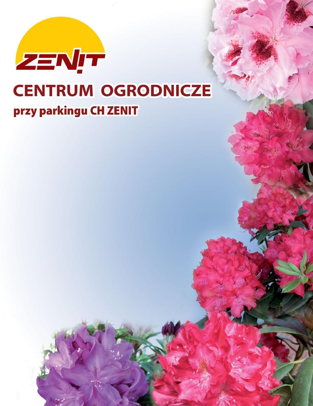 Królewskie Rododendrony nowe polskie odmiany różaneczników o wysokiej mrozoodporności (ok.