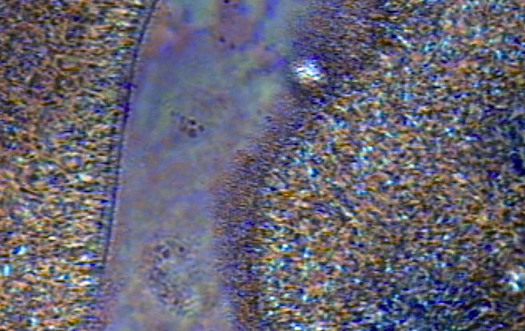 107 Rys. 19. Faza niebieska (środkowa część) i cholesterolowa przejście w temperaturze 140,5 C z tempem chłodzenia 0,2 C na min [13] Fig. 19. Blue phase (centre) and cholesteric phase phase transition at 140.