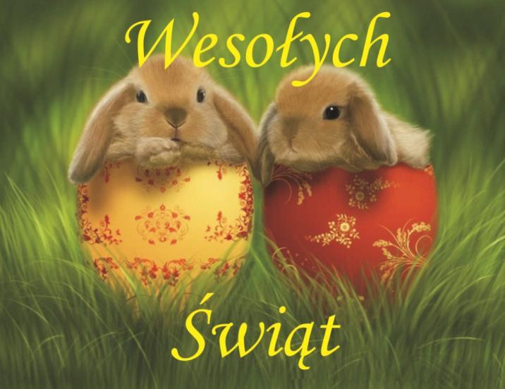 Co zrobić, aby uświetnić WILEKANOC? Na stole (i nie tylko) ustawcie żonkile, tulipany oraz inne wiosenne kwiatki. Bardzo dobrze prezentują się gałązki np.