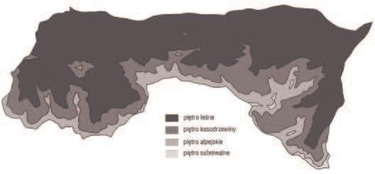 Ryc. 9. Piętra fizycznogeograficzne Tatr Polskich. Fig. 9. Physicogeographical vertical zones in the Polish Tatra Mts.
