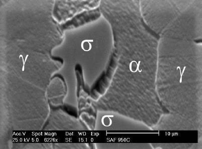 korozyjnych, międzymetaliczna faza sigma (rys. 3.5 ) składająca się z Fe, Cr i Mo może tworzyć się w stalach dupleks w przedziale temperatur 600 1000 o C.