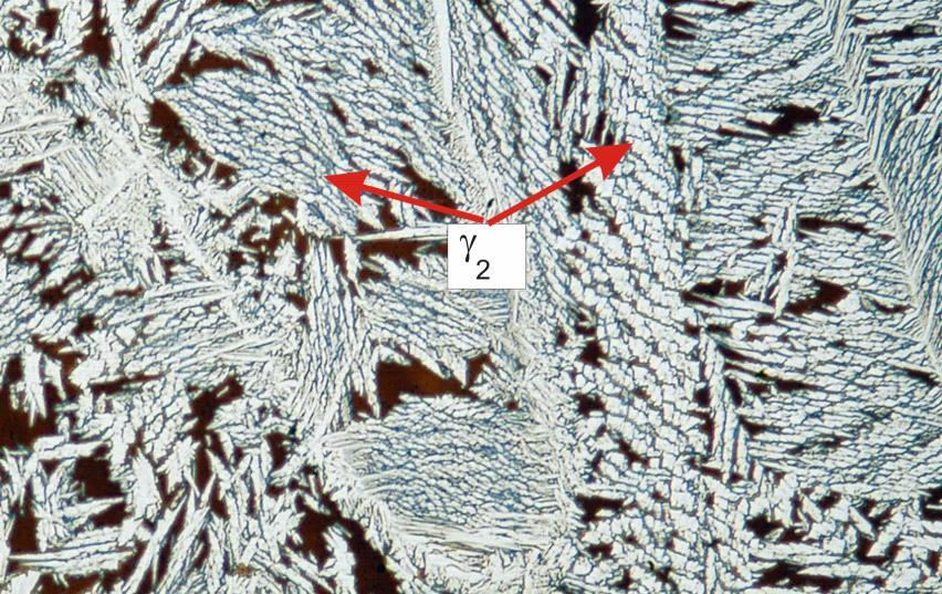 100 m Rys. 8.13. Mikrostruktura spoiny.