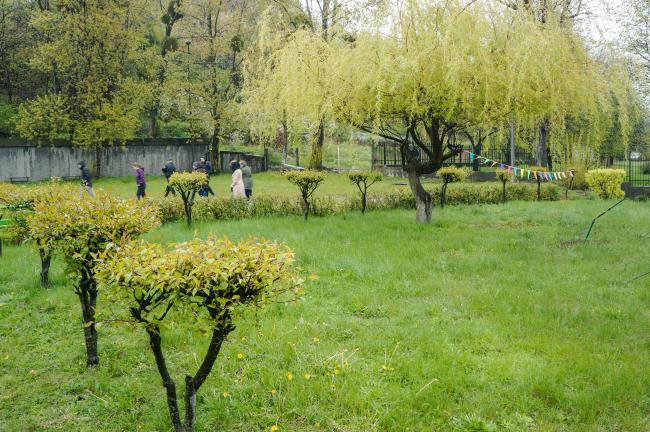 Ogród społeczny w Gdyni powstanie na Oksywiu Co może przynieść współpraca samorządu, organizacji pozarządowej i biznesu? Jak zwiększyć skuteczność pomagania poprzez innowacje?