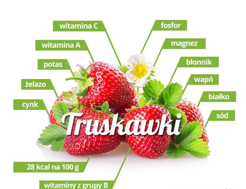 Powstały w połowie XVII wieku ze skrzyżowania dwóch gatunków poziomek: chilijskiej i wirginijskiej.