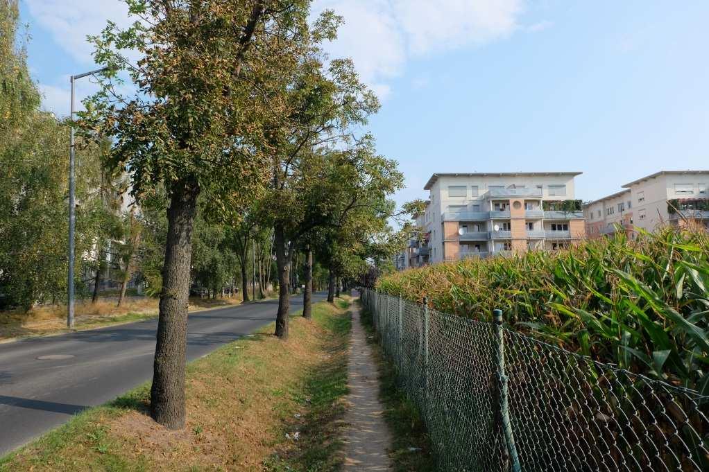 Wnioski i wytyczne mieszkańców osiedla Marysieńki: stopniowanie zabudowy (od najniższej przy osiedlu Marysieńki do najwyższej wzdłuż Mateckiego); określić szczegółowe wytyczne i