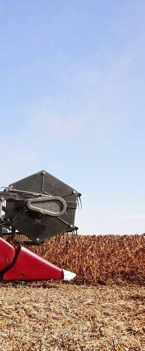 PROSTE ROZWIĄZANIA, ZAAWANSOWANE MOŻLIWOŚCI: ZESPOŁY GĄSIENICOWE CASE IH Dwa różne zespoły gąsienicowe do wyboru. Ograniczenie uszkodzeń gleby dzięki znacznemu obniżeniu nacisku na podłoże.