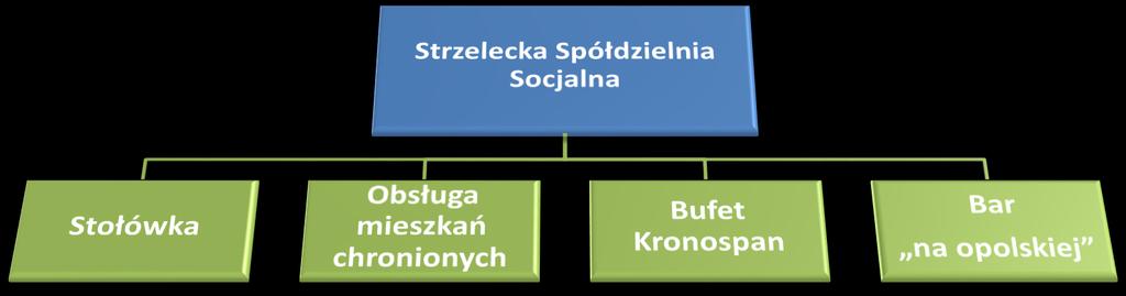 Struktura organizacyjna spółdzielni Strzelecka