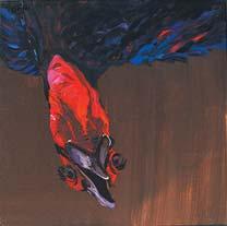 Krzysztof Paj¹k Galapagos