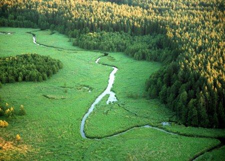 Z. Chojęta Rys historyczny: 1998-2002 W dniu 11 października 1998 roku odbyły się wybory do rad gmin, rad powiatów i sejmików samorządowych województw.