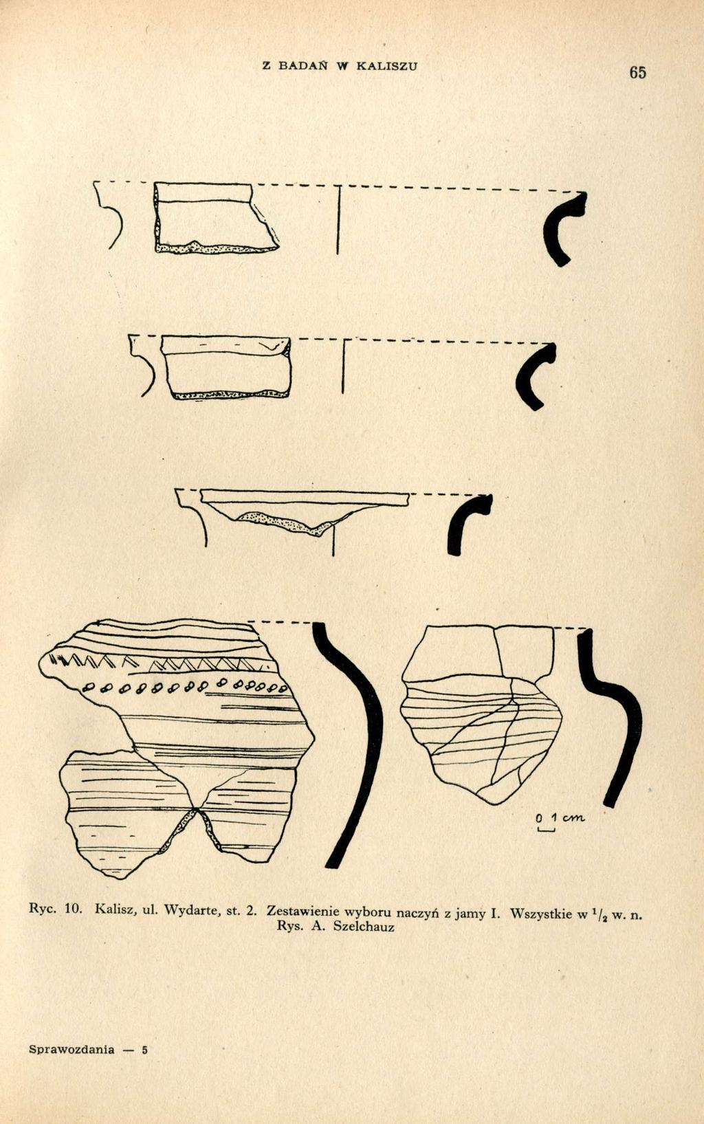 Z BADAN W KALISZU 65 Ryc. 10. Kalisz, ul. Wydarte, st. 2.