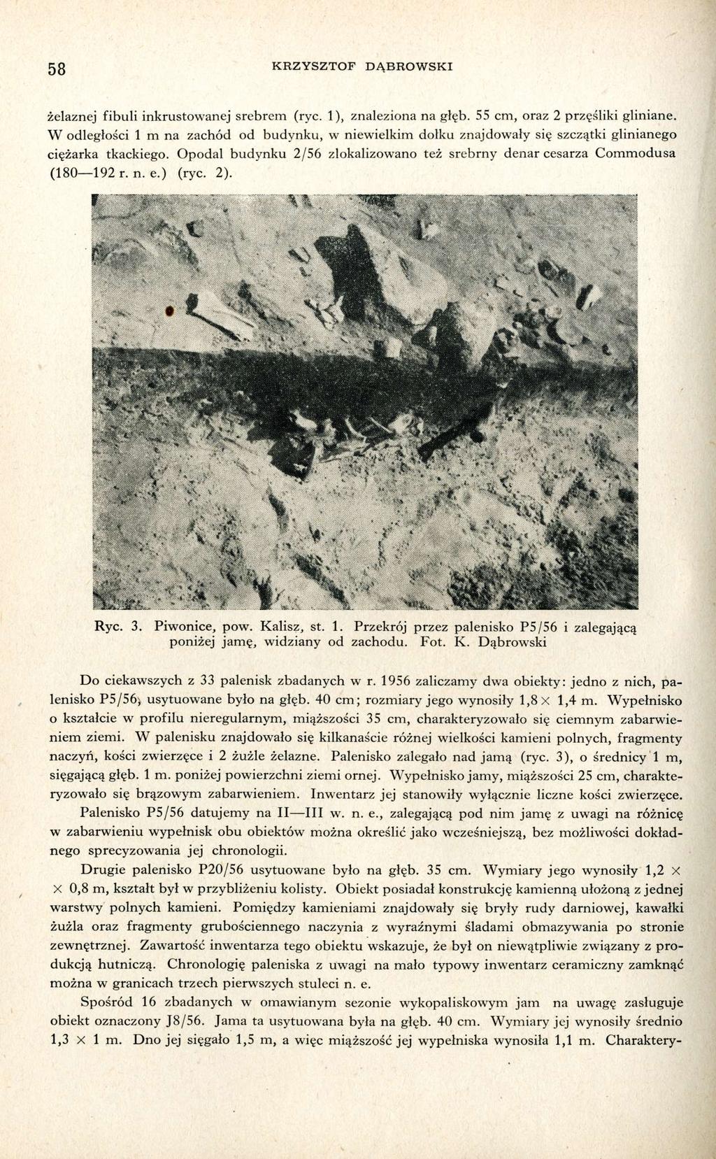 58 KRZYSZTOF DĄBROWSKI Spośród 16 zbadanych w omawianym sezonie wykopaliskowym jam na uwagę zasługuje obiekt oznaczony J8/56. Jama ta usytuowana była na głęb. 40 cm.