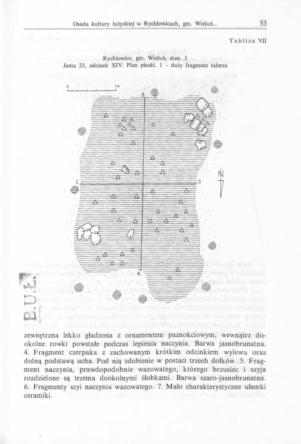 T a b l i c a VII Rychłowice, gm. Wieluń, stan. 1 Jama 23, odcinek X3V. Plan płaski.