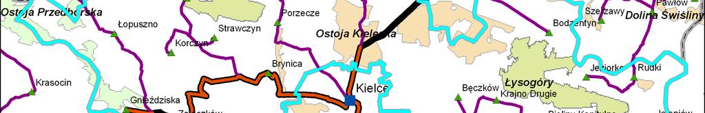 Przebieg