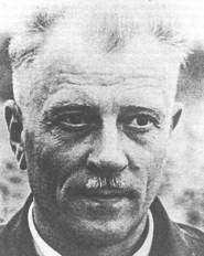 T. Dominik Dominik T.