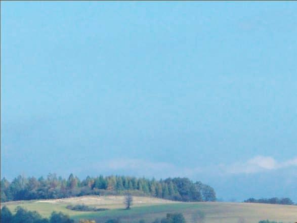 NOWOŚCI