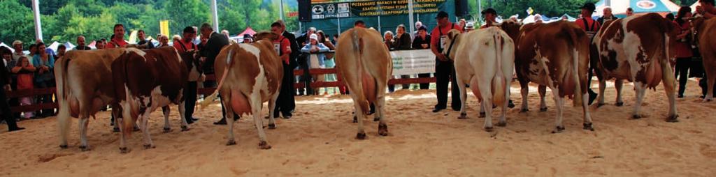 Wrzesień 2013 Aktualności Wystawa w Rudawce Rymanowskiej W
