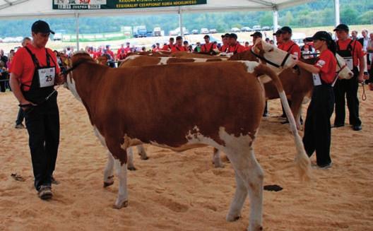 Aktualności Nr 2 (Rok VII, nr 19) ŻABKA
