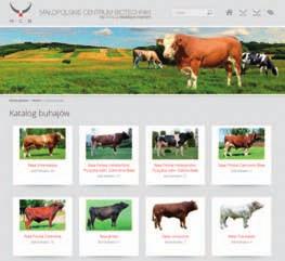 Serdecznie zapraszamy do korzystania ze strony internetowej naszej Spółki.