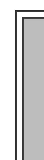 R43RS /