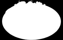 INDYKA BIO (około 0,70 kg) -