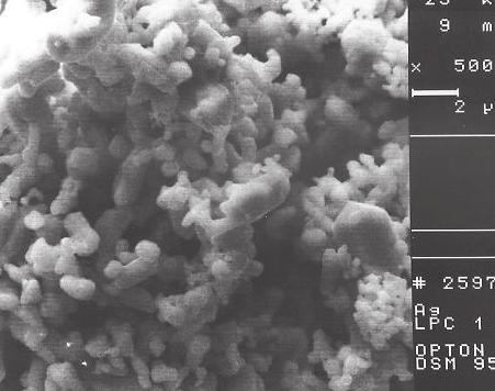 c) d) Rys. 1. Morfologia proszków: srebra, wolframu, c) węglika wolframu, d) grafitu Fig. 1. Morphology of powders: silver, tungsten, c) tungsten carbide, d) graphite Rys.