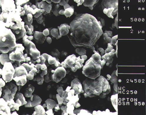 2. Morphology of Ag70%WC29.5%C0.