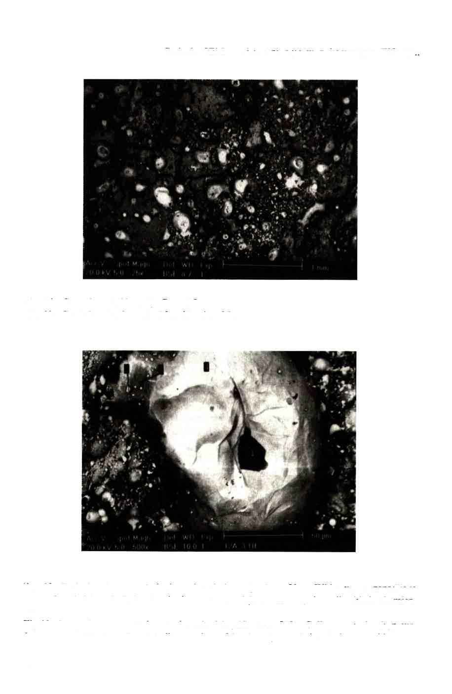 Badania SEM powierzchni styków z kompozytu WC-Ag... Rys.ll. Centralna część anody. Pow. 25x. Fig.ll. Central part of anode.