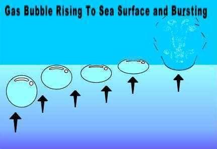 function for the open ocean oraz http://www.