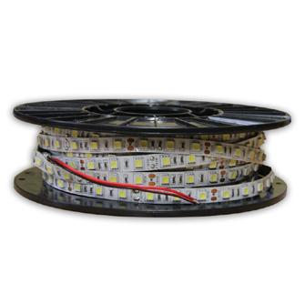 10mm 72W/rolka RGB, CW 72W/rolka RGB, WW 72W/rolka Multiwhite 102W/rolka 1, Taśmy Premium Z Diodami LED Nowego Typu 2835 2835 2835 2835 TL 300