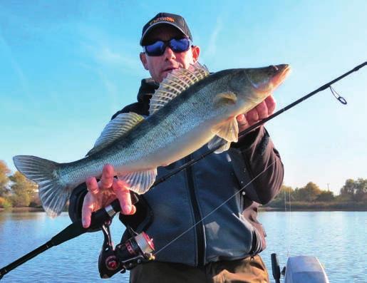 Obok dominujących i działających raczej zachowawczo potentatów sprzętowych, już w latach dziewięćdziesiątych na bazie pracowni montażu custom rods zaczęły tam powstawać małe firmy produkujące blanki.